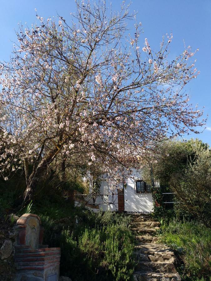 Casa La Liebrecilla Guest House Ríogordo Екстериор снимка