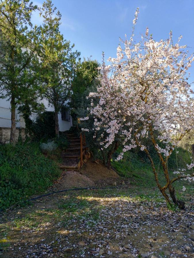 Casa La Liebrecilla Guest House Ríogordo Екстериор снимка